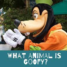 Goofy from Mickey Mouse is a Cow